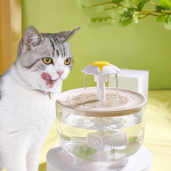 Pet Cat Drinking Water Fountain