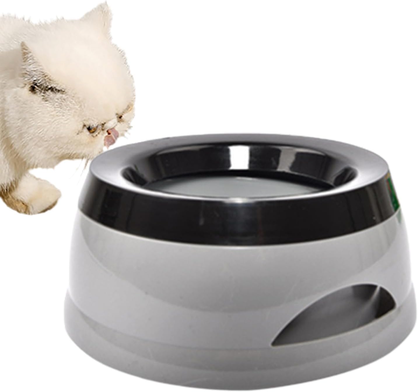 Pet bowl with a cat in the background on a white background